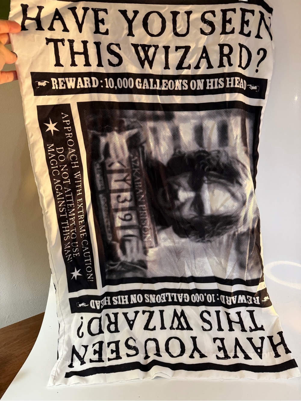 Harry Potter Undesirable No. 1 Black & White Pillow Case - Picture 2 of 8